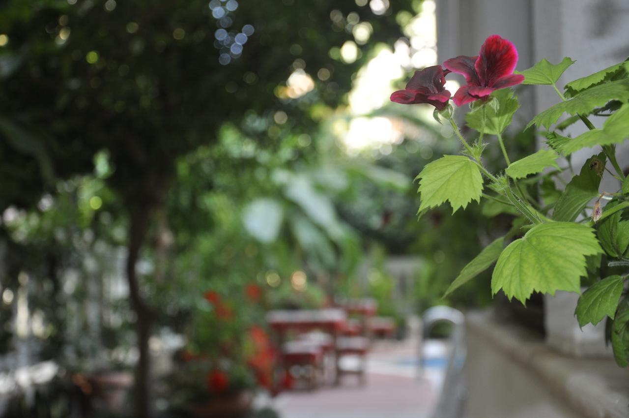 Hotel Villa Casablanca Bahtili Extérieur photo